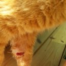 금동이PC 이미지