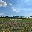 연천군청입구 | 연천 호로고루 &lt;고구려 별빛 연가&gt; - 현수막만 걸어놓은 축제?