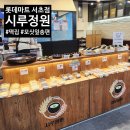 내고향마트 | 강남 서초동 떡집 롯데마트 서초점 시루정원 내돈내산 후기(feat. 모싯잎 송편 맛집)