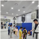 강무관 대호무술체육관 이미지