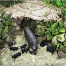 오라방식당 이미지