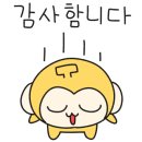 비비드미용재료