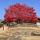 경북 문경 여행코스 추천 _ 단풍 절정 문경새재 도립공원