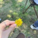 (주)대교공업사 | 지나고 나서야 중기가 천국인 줄 알았음을.. (~28주)