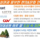 디펠리체 이미지