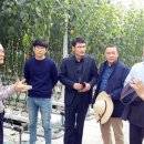 심민섭농장 이미지