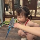 아기동물 | 경주 버드파크 할인 예약 방법, 20개월 아기 동물 먹이주기 체험 후기