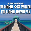 마린인터넷플라자 | [괌] 수중에서 물고기들을 볼 수 있는 이색 체험 피쉬아이 마린파크ㅣ 피시아이 수중 전망대