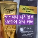 보스티나 염색제 후기와 부작용 빠른 5분 염색 내돈내산 후기 염색 방법