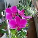 옥계남로-2 이미지