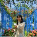 순정민박 이미지