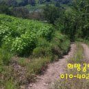 부동농장 이미지