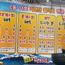 복기애견 | 속초 대포항 애견 동반 가능 식당,복기네 활어 (내돈내산) 솔직후기