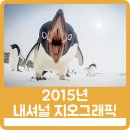 내셔널 메디칼 이미지