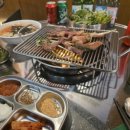 꼴통돼지 이미지