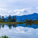 강가에아침 이미지