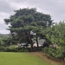 작은마을, 작은숲 이미지