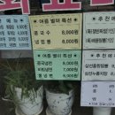 용산 삼정각