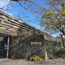 이니스프리 | (제주 오설록 티뮤지엄 브런치) 제주 이니스프리 제주하우스 - 내돈내산 후기