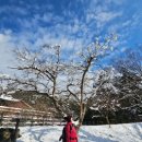 줄포제6소교량 | [변산반도국립공원] 개암사 원점회귀 우금산 겨울 산행