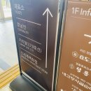 드림베스 | [서울 반포]고속버스터미널 꽃도매상가-현장에서 축하꽃다발 만들기..feat.멍이 베스 생일..@6월