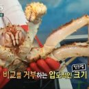 강화갯벌장어영어조합법인