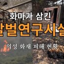 유튜브 최문박사의 연구실: 화마가 삼킨 말벌연구시설. 의성 산불 피해 현황﻿ 이미지