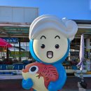 황금오징어 활어회센터2 | 묵호항 활어회센터~묵호황금대게~마성식당/홍게찜~산오징어회 (2025.6.23)