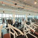 짐 화이트하우스 이미지