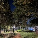 신안평거녹지 이미지