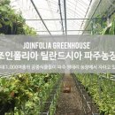 석송농장 이미지