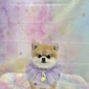 대빵하우스 이미지