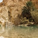 카오아시스 이미지