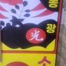 똥광노래
