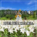 국내 여행지 추천 6월 : 지역별 여행지 인생샷 명소