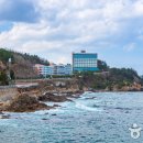 힘력풍천장어 이미지