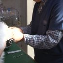 손 동물병원 이미지