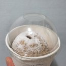 달콤스크림