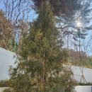 정원센텀스카이 | 서장훈의이웃집백만장자에 소게된 이흥룡과자점 두실점(본점)부산빵 맛집