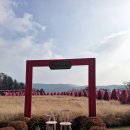 아일랜드 | 서울 근교, 포천 허브아일랜드 후기