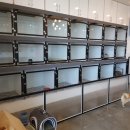 놀다가개 이미지