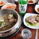 토성옥 Daum카페