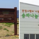 하나 1호 태양광발전소 Daum카페