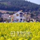 홍도항여객선터미널 이미지