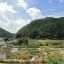 좌구산 오토캠핑장 이미지