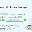 쇼콜라천연하우스 이미지