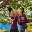 수원-1382 이미지