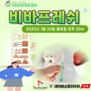 비바프레쉬 냉장고 탈취제 팜이톡 라이브커머스 후기