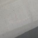 공룡모터스 이미지