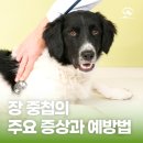 해오름 동물병원 이미지